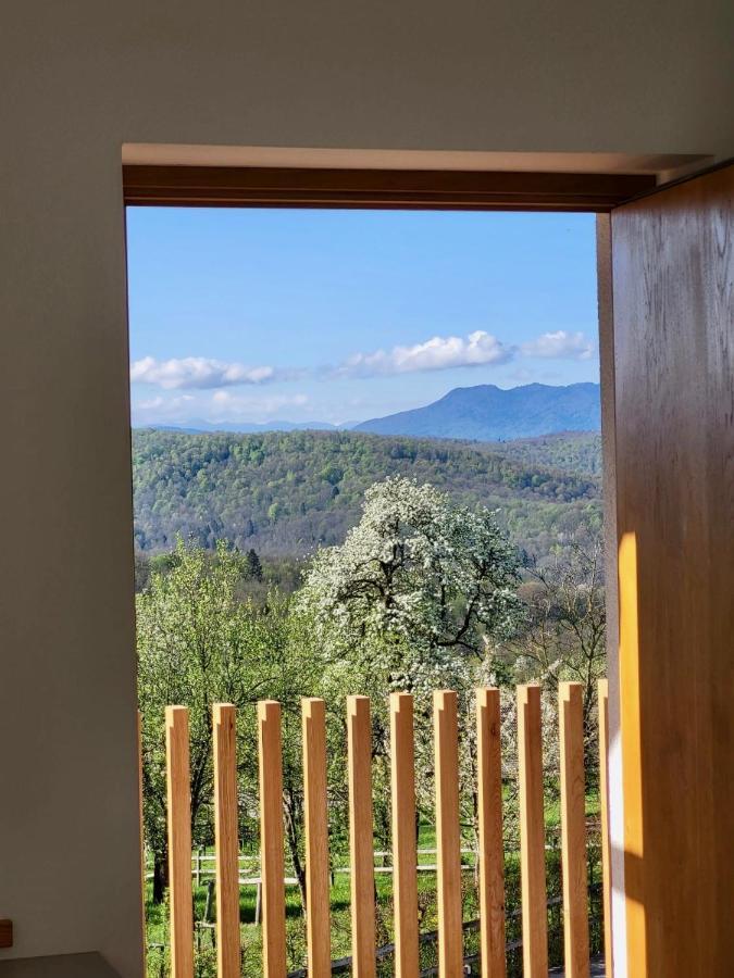 Guest House Domacija Krnc Hrib pri Hinjah Εξωτερικό φωτογραφία