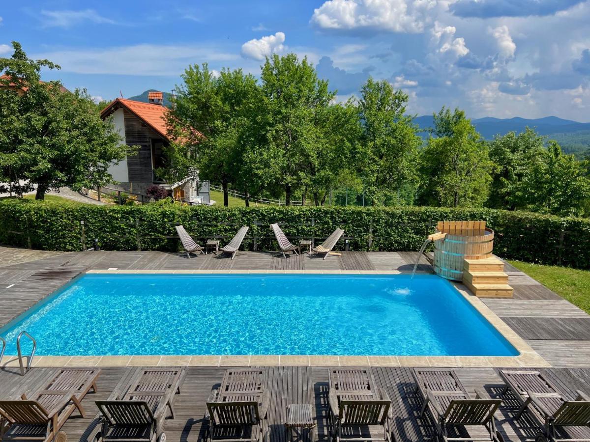 Guest House Domacija Krnc Hrib pri Hinjah Εξωτερικό φωτογραφία